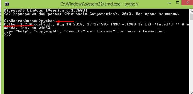 Как передать аргументы при запуске программы из Python