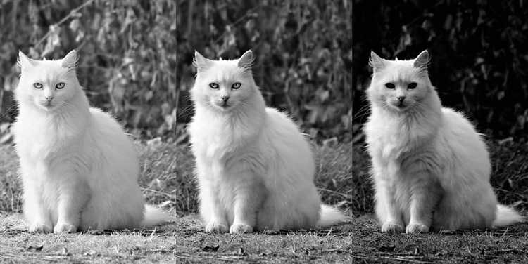 Как изменить прозрачность картинки в python