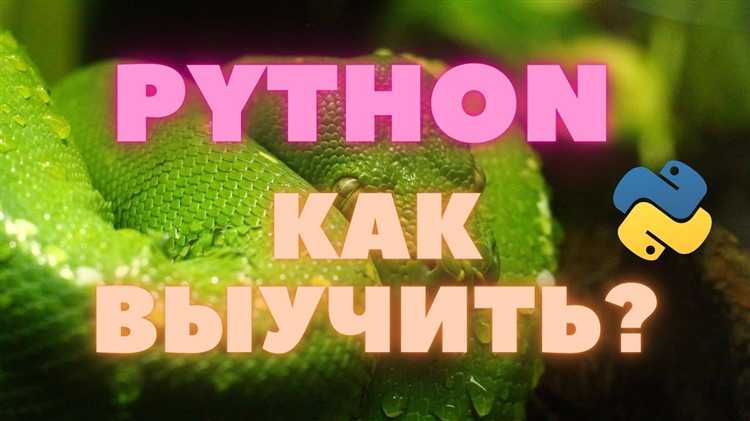 Как выбрать онлайн-курсы для изучения Python