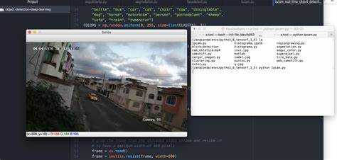Обучение собственной модели с использованием TensorFlow или PyTorch