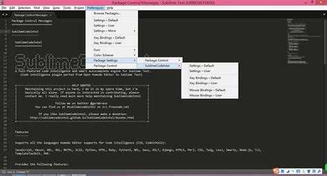 Настройка Python в Sublime Text через настройки