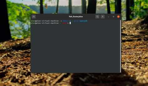 Как удалить Java JDK на macOS через Terminal