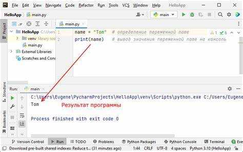 Использование функции input() для получения ввода пользователя