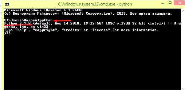 Как передать аргументы в программу при запуске через Python