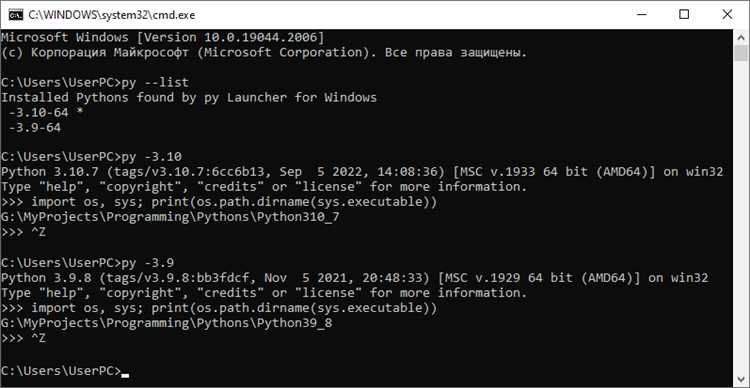 Проверка маршрута трафика Python скрипта через VPN