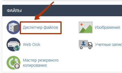 Автоматизация запуска скрипта через cron