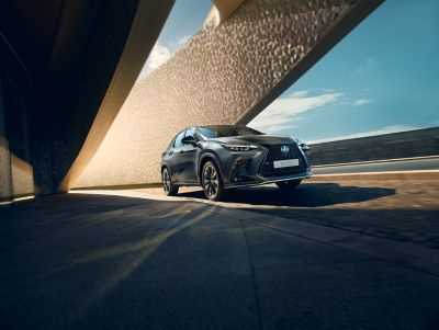 Где можно будет купить новый Lexus NX 2025 года?