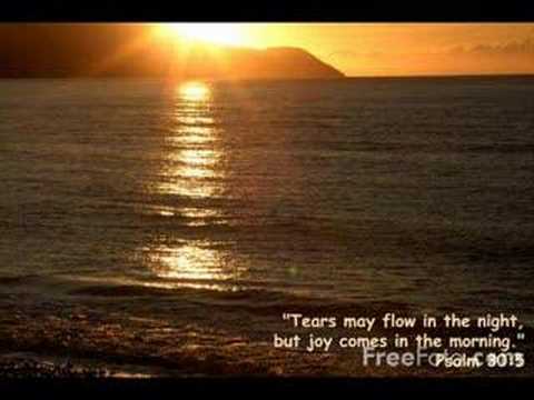 Реакция поклонников и критиков на исполнение Mercy Seat Джонни Кэшем