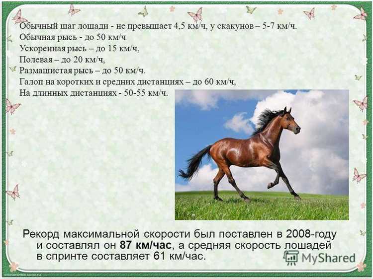 Сравнение мощности двигателей Краз разных поколений