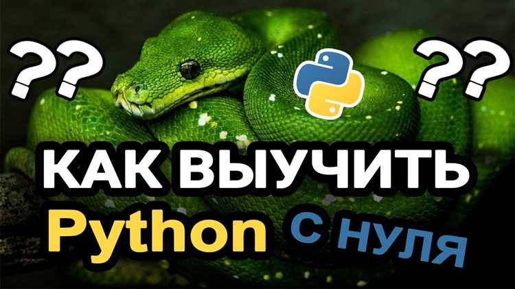 Когда можно начать решать задачи на Python самостоятельно