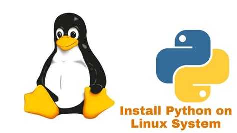 Использование контейнеризации с Docker для Python-разработки на Linux