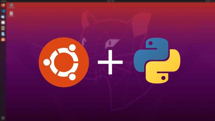 Зачем работать с python на linux