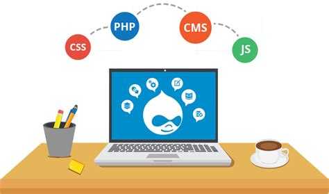Основные обязанности Drupal Developer