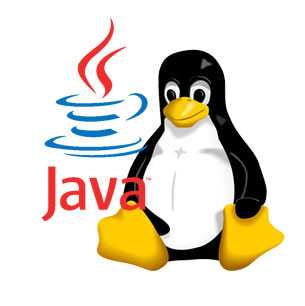 Где лежит java linux