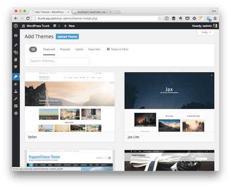 Выбор и скачивание темы для WordPress