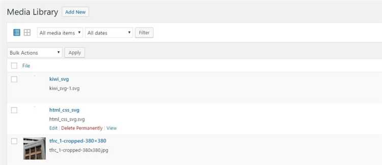Как настроить правильное отображение SVG файлов на сайте WordPress