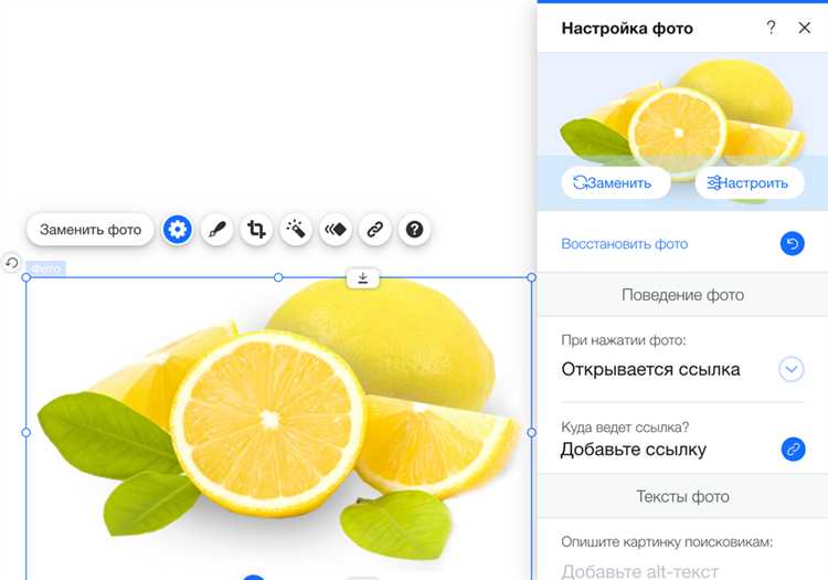 Вставка видео с Vimeo