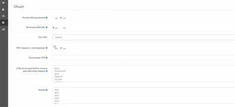 Настройка и подключение кастомного CSS и JS