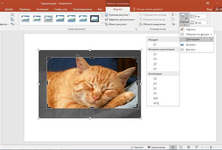 Как обрезать фото по форме в powerpoint