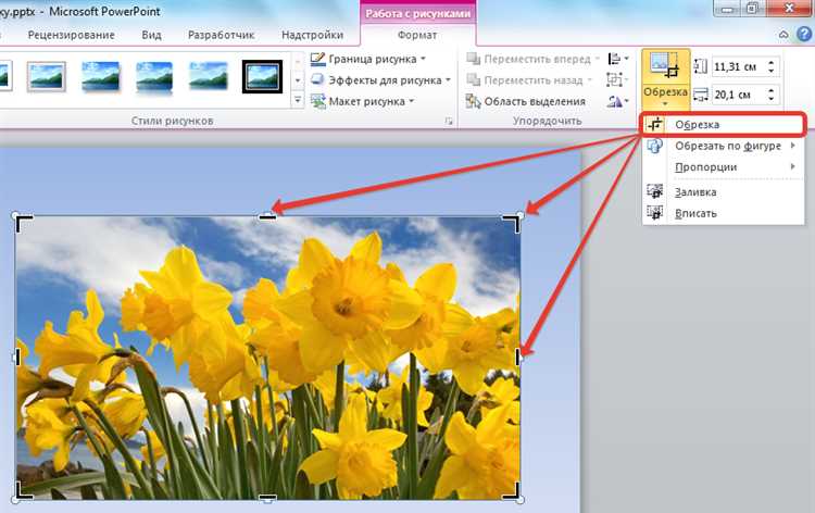 Как обрезать в презентации microsoft powerpoint