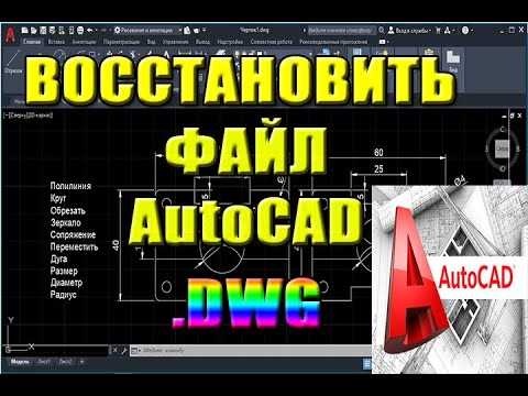 Как найти настройки штурвала в AutoCAD
