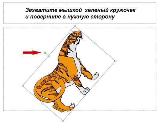 Как открыть инструмент редактирования изображений в PowerPoint