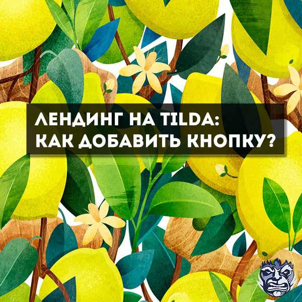 Создание кнопки с помощью блоков Tilda