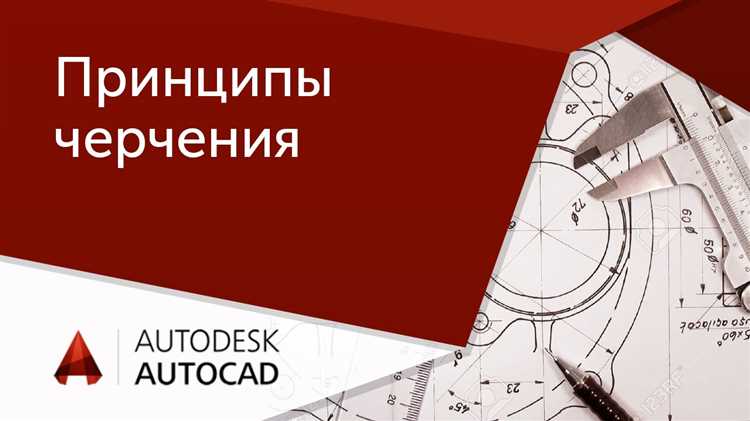 Основы команд и инструментов: что нужно знать новичку