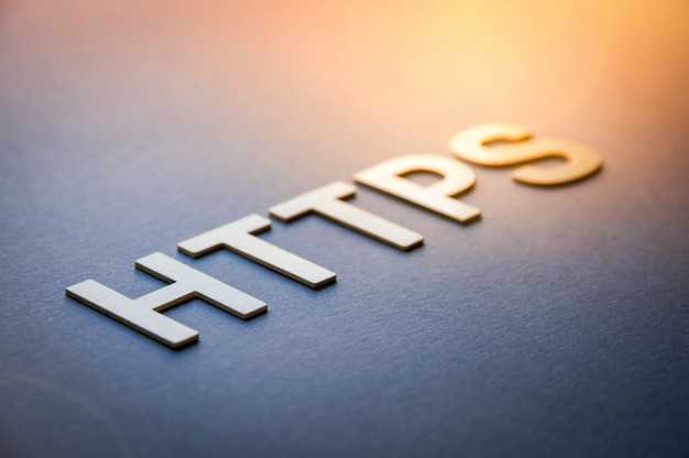 Проверка наличия SSL-сертификата для вашего домена