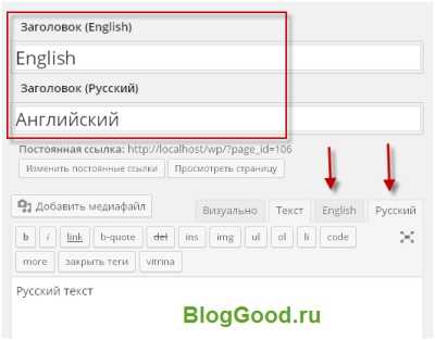 Выбор плагина для многоязычности: Polylang vs WPML