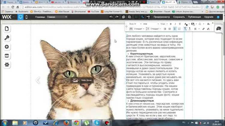 Как создать форум на wix