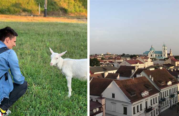 Где и как искать первую практику: стажировки, проекты и волонтёрство