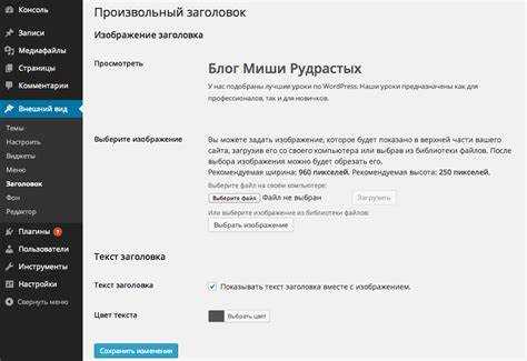 Как отключить шапку через настройки темы в WordPress