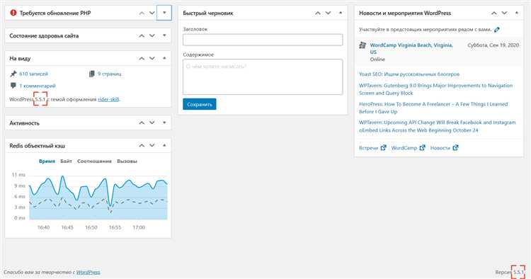 Использование инструментов разработчика браузера для проверки версии