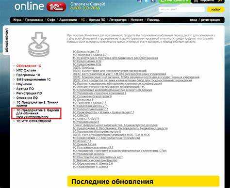 Использование системных функций для определения типа версии