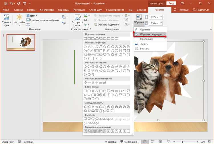 Где найти инструмент удаления фона в PowerPoint
