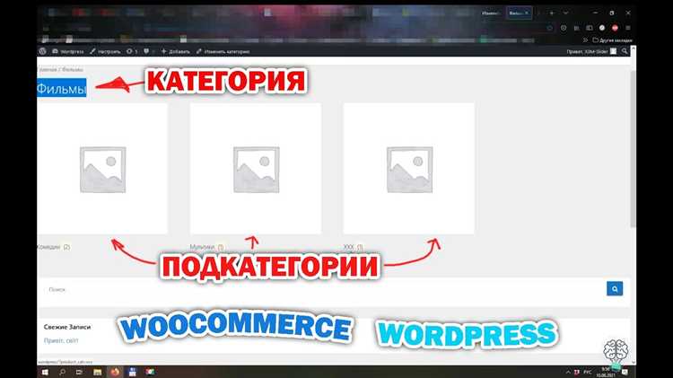 Использование кастомного WP_Query для отображения категорий товаров