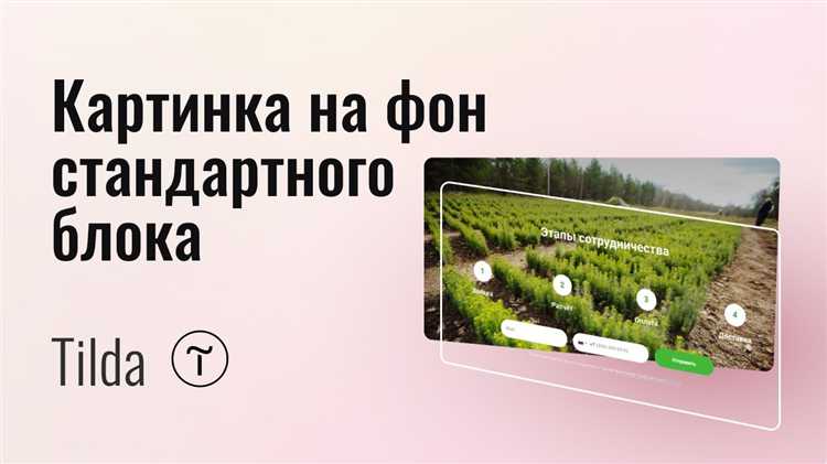 Выбор подходящего видео для фона на Tilda