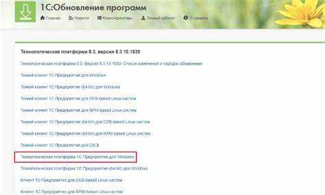 Решение проблем с кодировкой и форматом данных при импорте