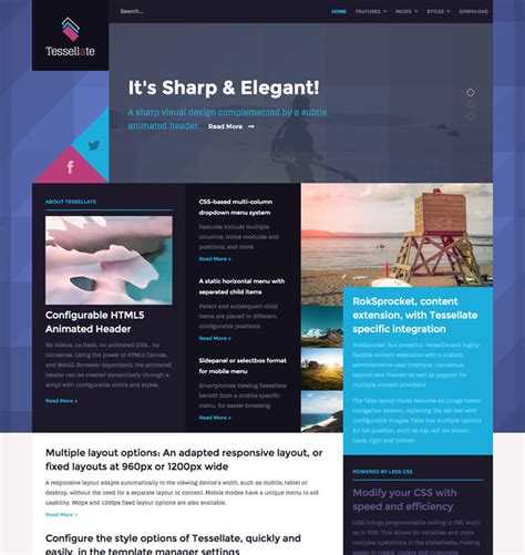 Скачивание шаблона с официального сайта разработчика