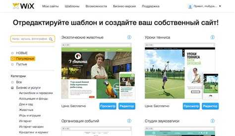 Шаг 2. Проверка работоспособности сайта