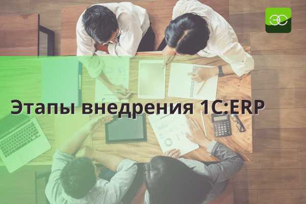 Мониторинг и поддержка после запуска 1С ERP