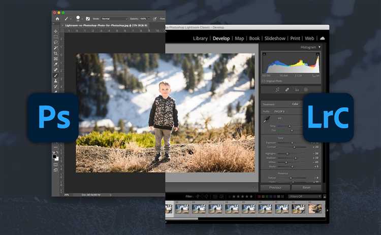 Организация и каталогизация фотоматериалов