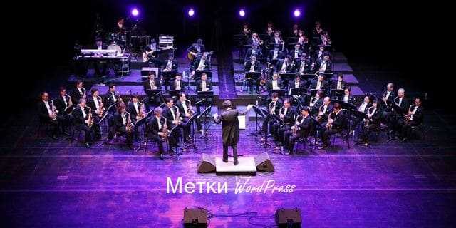 Что такое метки в wordpress