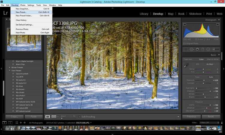 Где найти папку с пресетами Lightroom на Windows