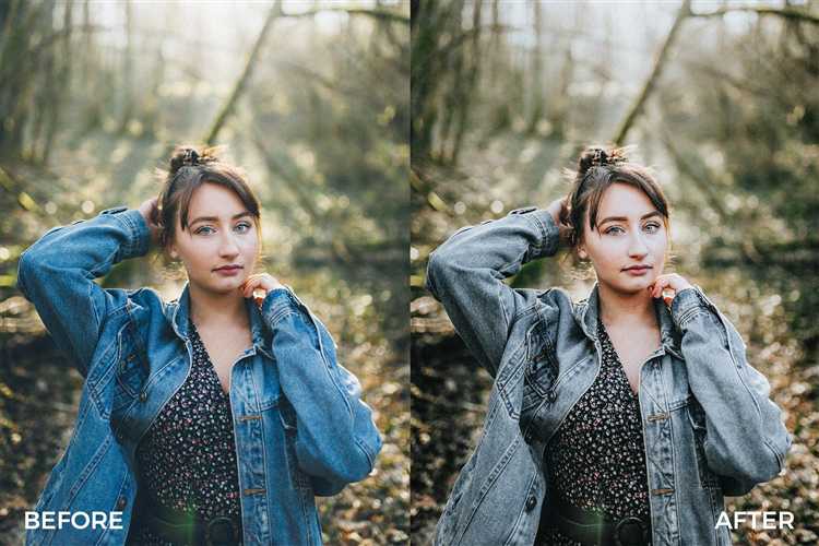 Как сделать резервную копию пресетов Lightroom