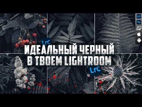 Как выбрать тип кривой: параметрическая или точечная