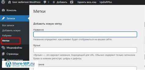 Настройка ключевых слов в мета-теге keywords через код или плагин
