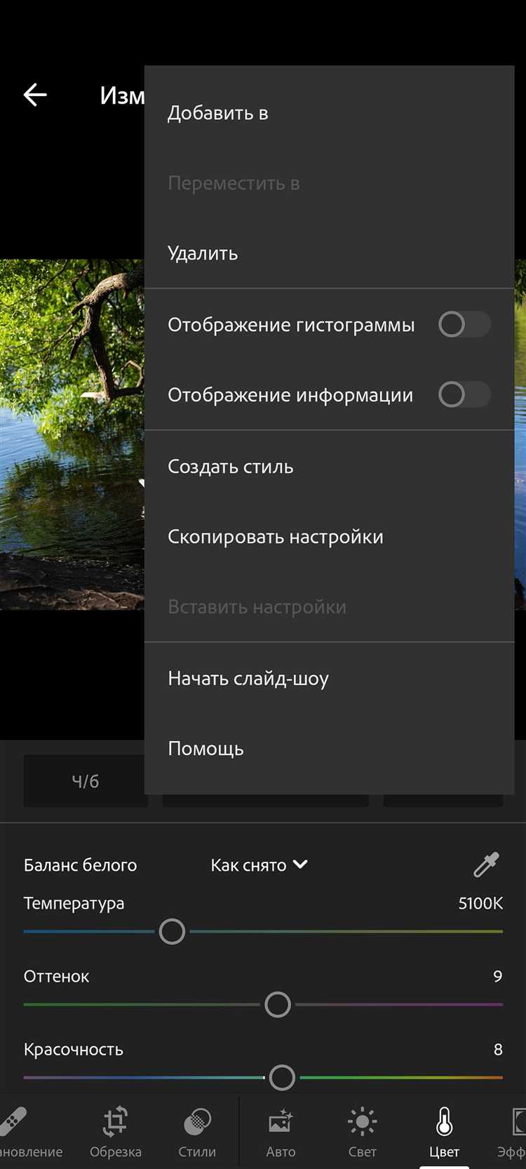 Конвертация XMP-пресета в формат.lrtemplate