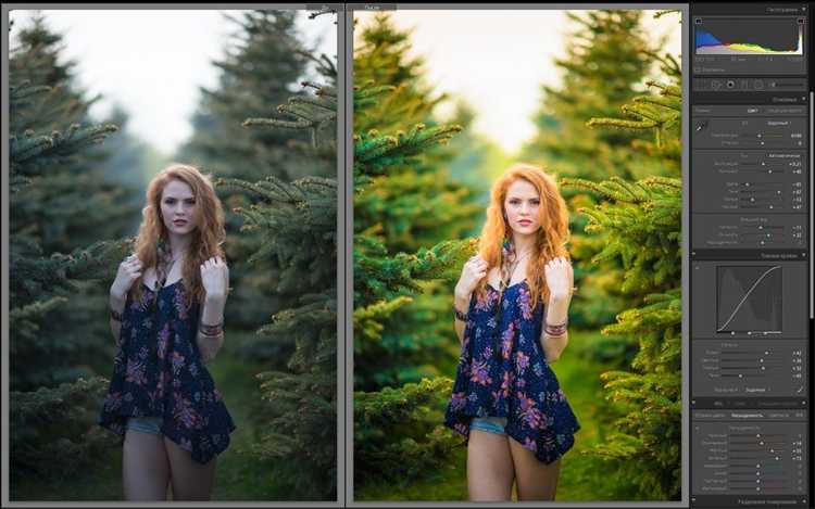Как добавить пресеты в lightroom андроид